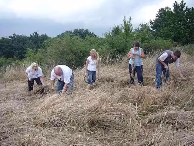 Празникът на билките - Еньов ден